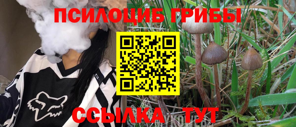 Галлюциногенные грибы Psilocybe Миллерово