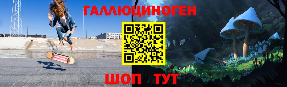 купить наркотики сайты  Вход с VPN  Миллерово  Галлюциногенные грибы Psilocybe 